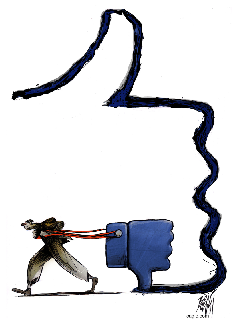 Likes' Labrador