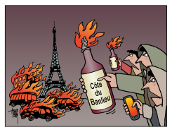 RIOTS IN FRANCE by Arend van Dam