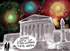 JUDICIAL FIREWORKS by Frank Hansen
