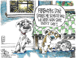 ANNOYING FIREWORKS by John Darkow