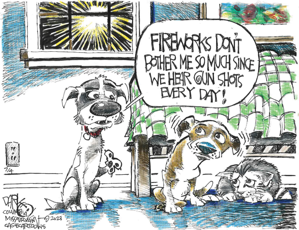 Annoying Fireworks