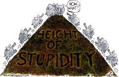 ASCENSION OF THE GOP by Randall Enos