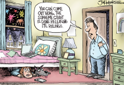 COURT RULINGS by Joe Heller