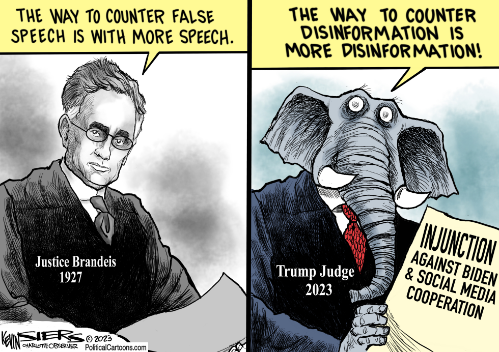 Protected Disinformation