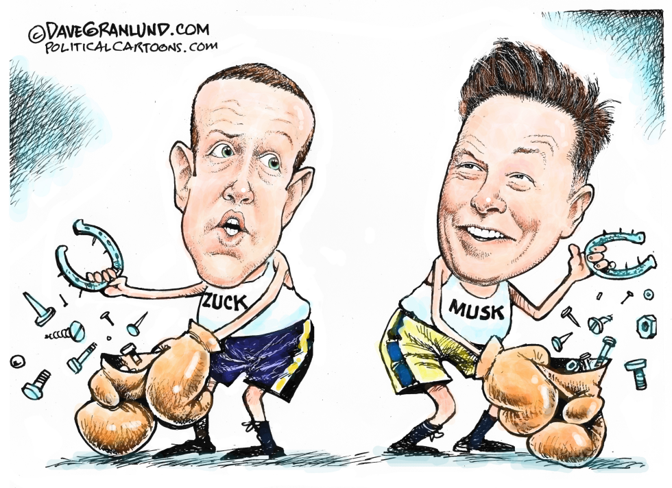 Zuckerberg vs Musk