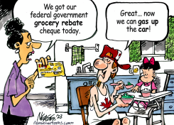 GROCERY REBATE by Steve Nease