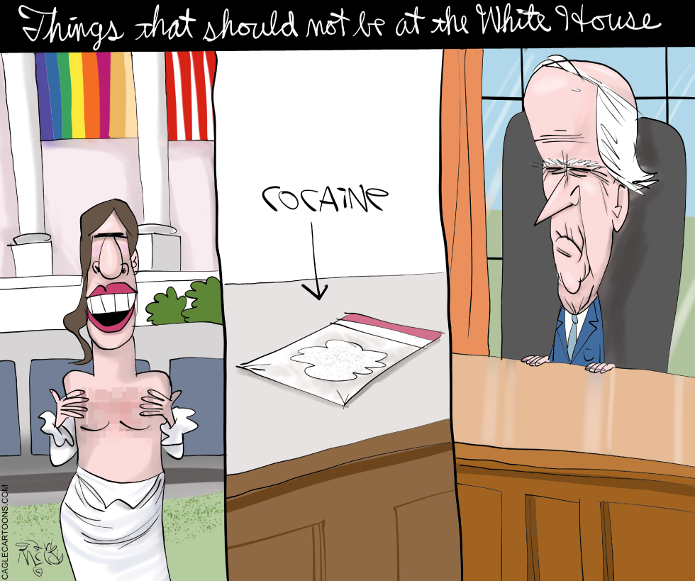 Danger In The White House