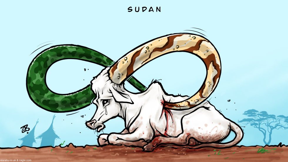 The struggle in Sudan
