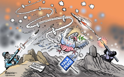PEACE IN JENIN OPERATION by Paresh Nath