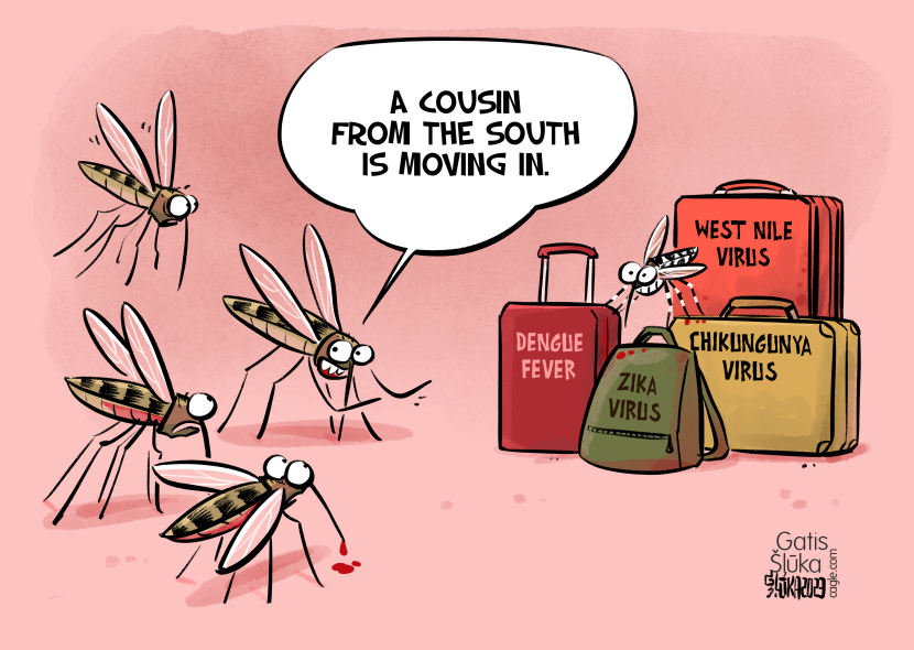 Mosquitoes and climate change