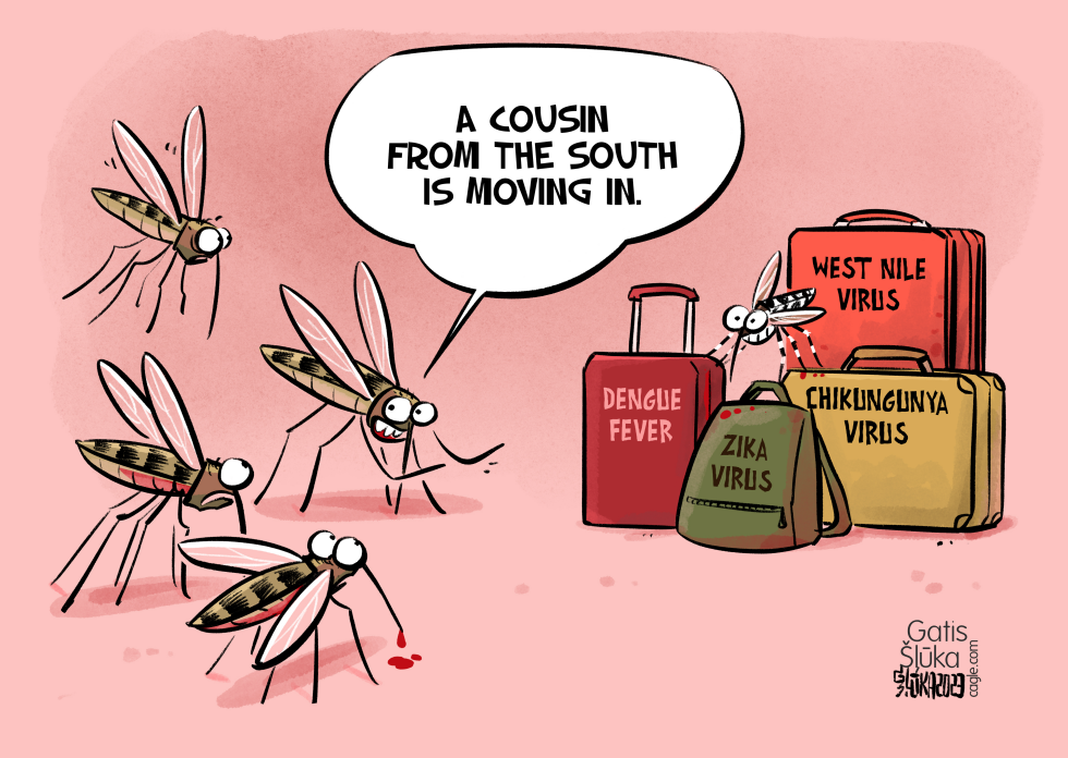 Mosquitoes and climate change