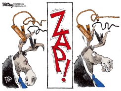 FLORIDA DEMOCRATIC PARTY by Bill Day