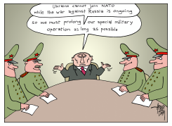 NATO MEMBERSHIP UKRAINE by Arend van Dam