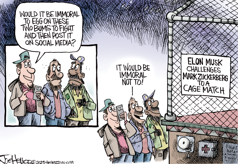 Cage Fight