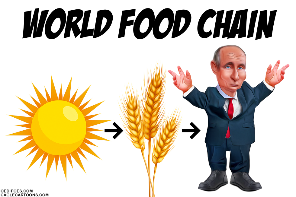 Russia pulls out of Ukraine grain deal