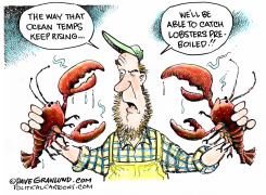 OCEAN TEMPS RISING   by Dave Granlund