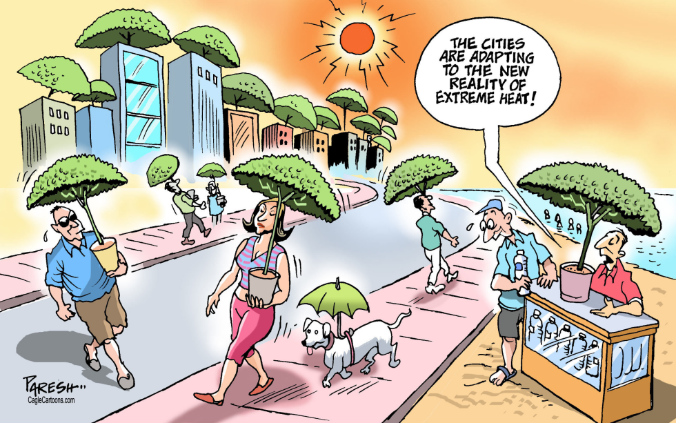 Extreme Heat Cartoons