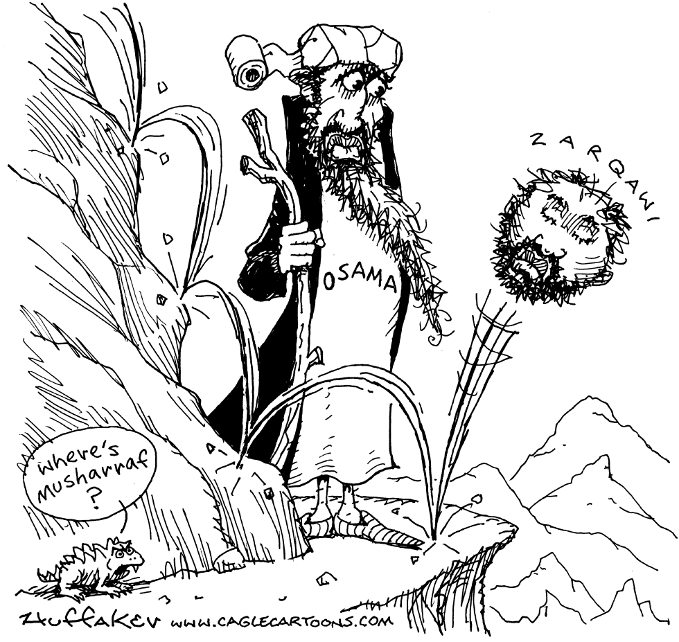 Zarqawi Dead-B/W