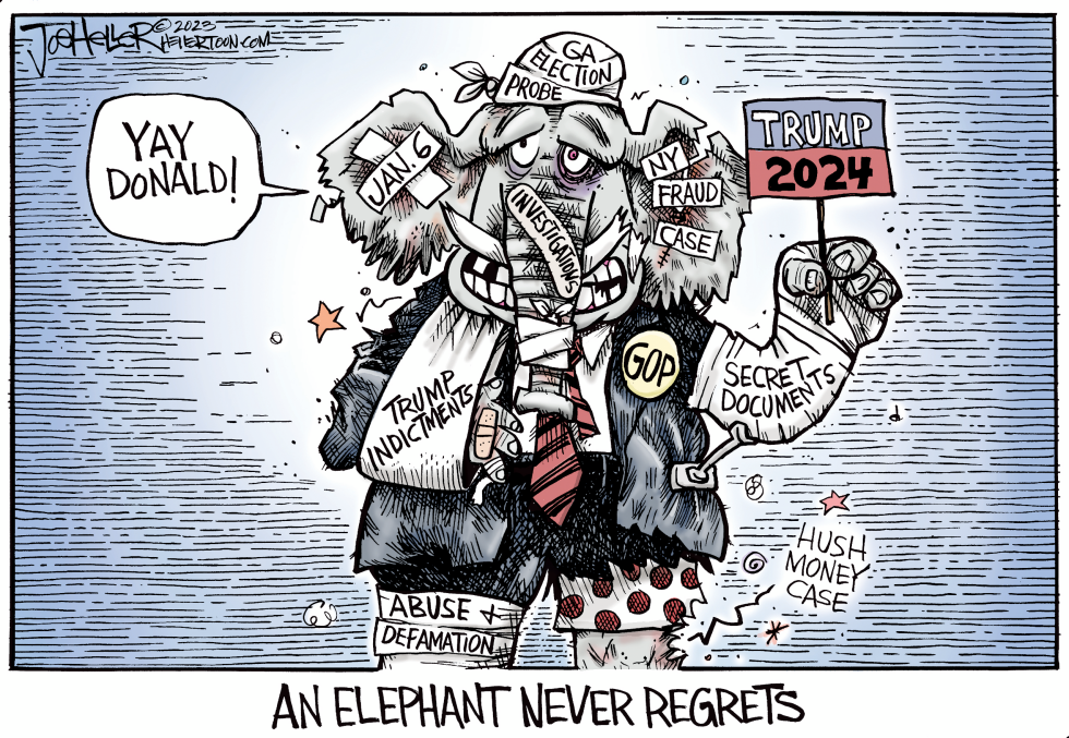 GOP Woes