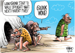 THE DAWN OF WOKE by Dave Whamond