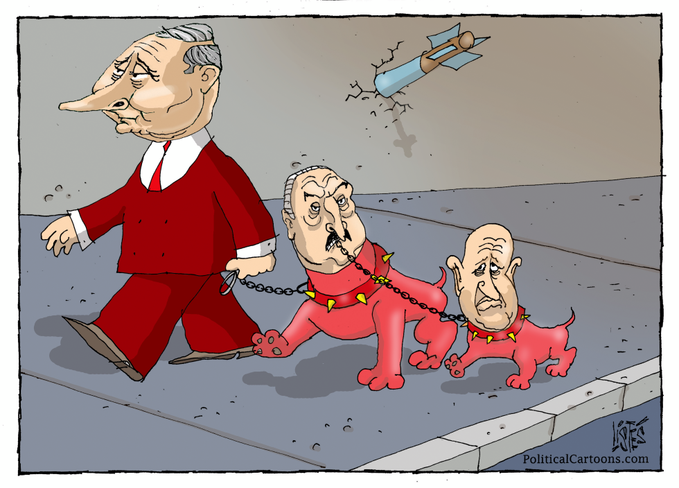 THE DOG WALKER
