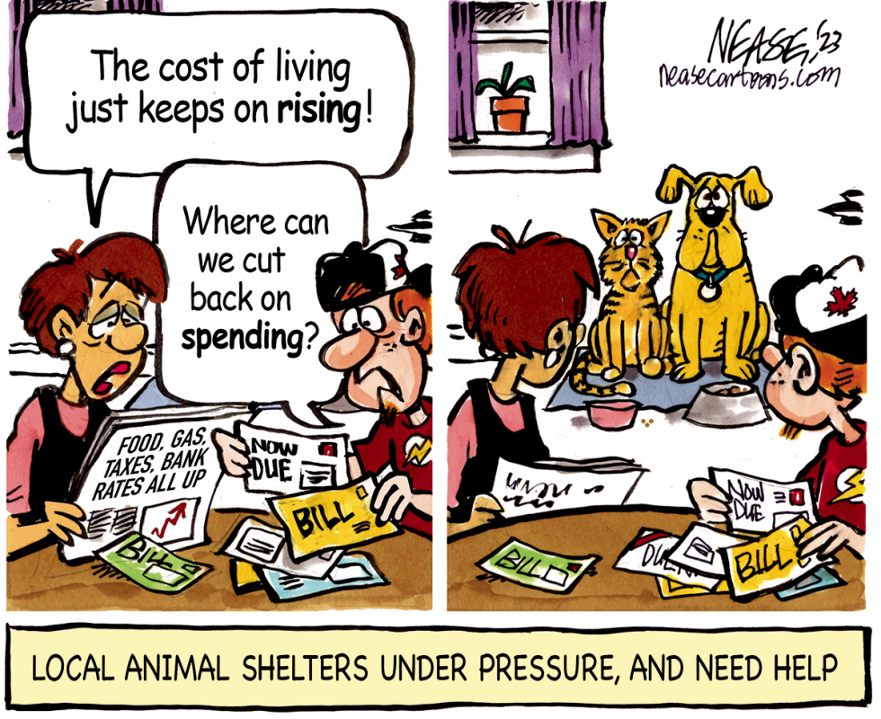Animal Shelters