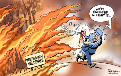 MEDITERRANEAN FIRES by Paresh Nath