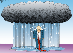MORE STORMY DAYS AHEAD by Bruce Plante