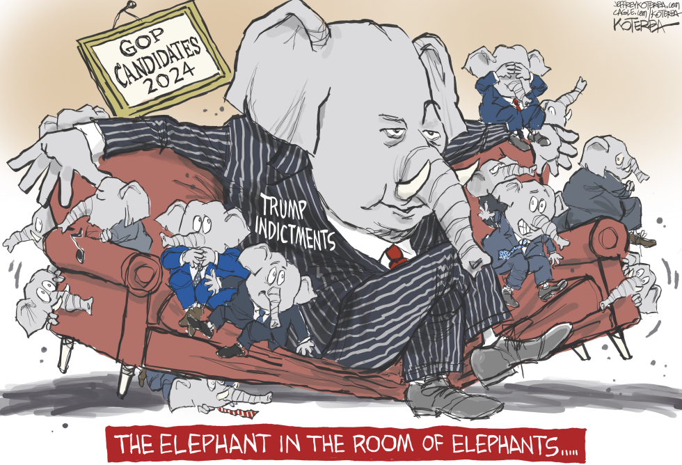 Elephant in the Room
