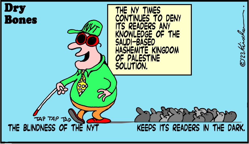 The Blindness of the NYT