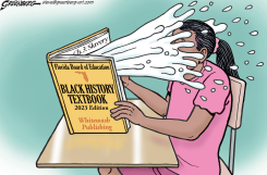 WHITEWASH TEXTBOOK by Steve Greenberg