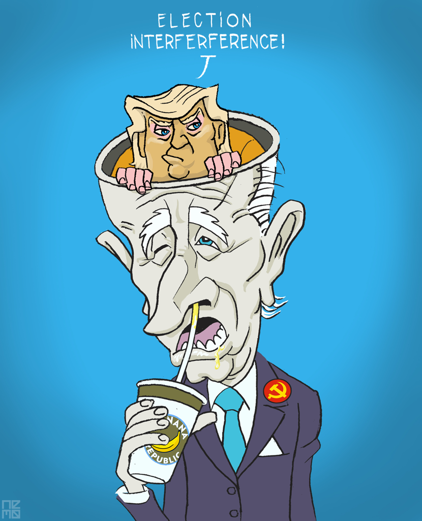 ELECTION INTERFERENCE