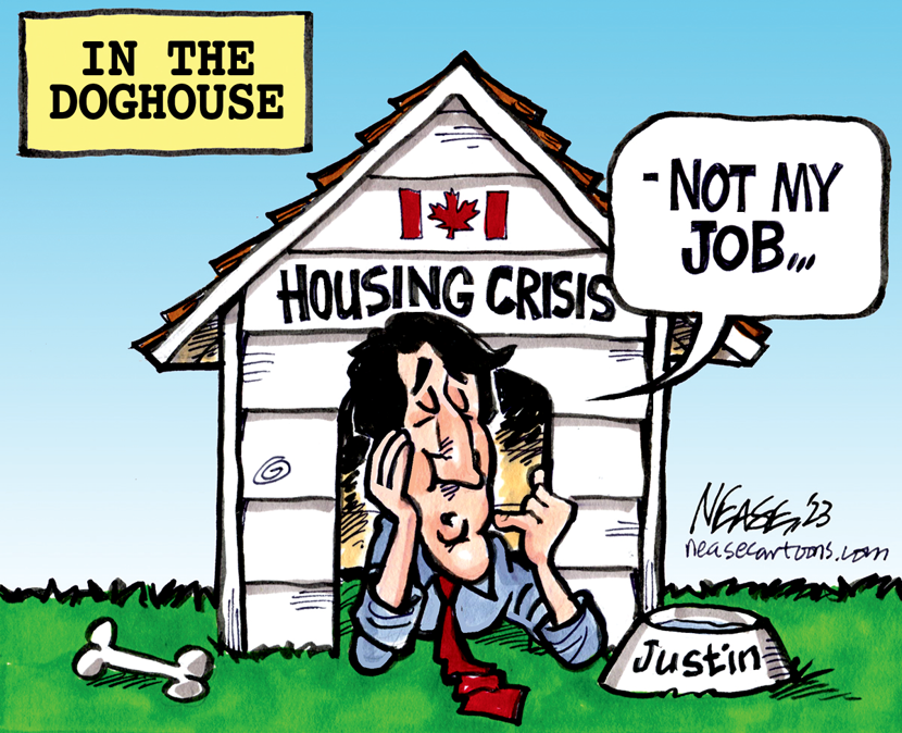 Doghouse