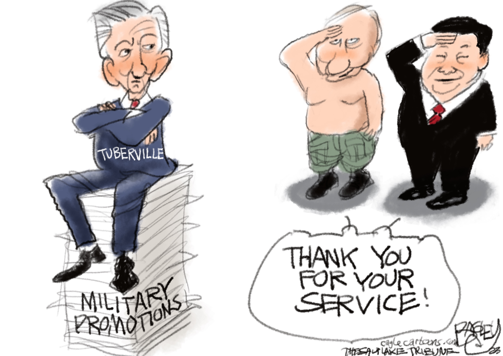 Useful Idiot