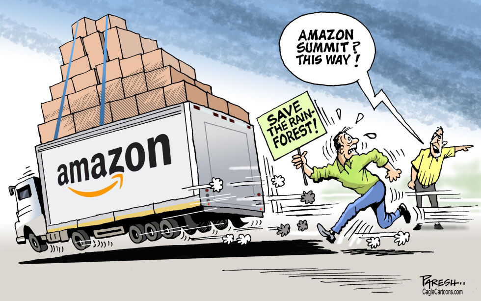 Amazon summit