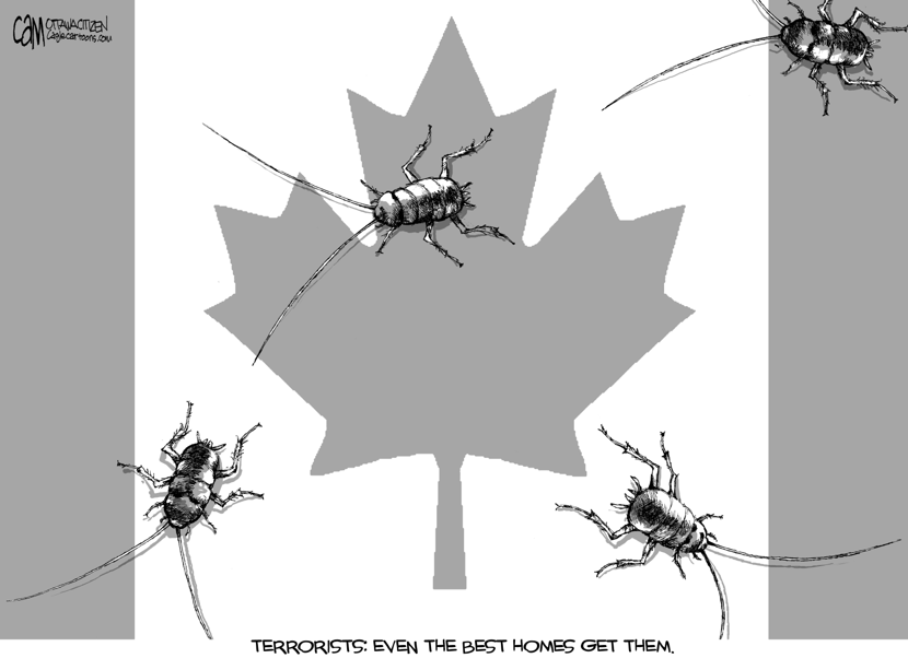 CANADA Buggy Flag