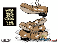THE OTHER, OTHER, OTHER SHOE by John Cole