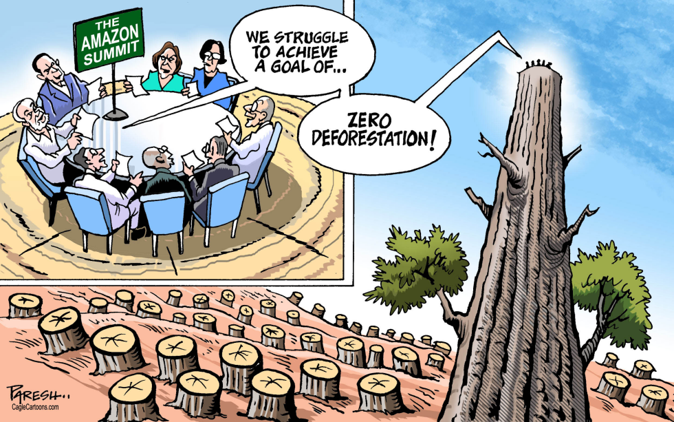 Saving Amazon