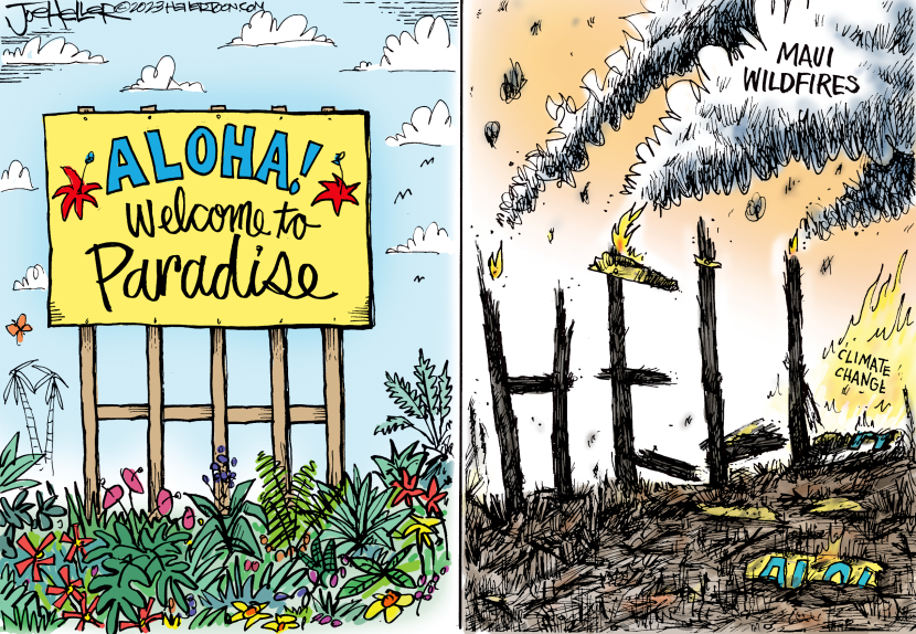 Maui Wildfires