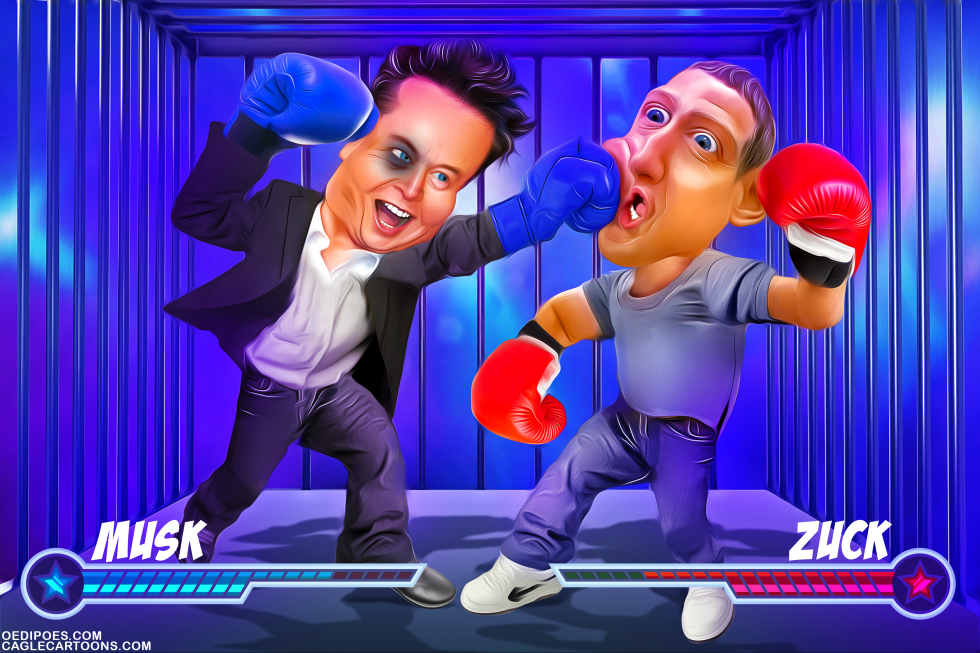 Musk vs Zuckerberg