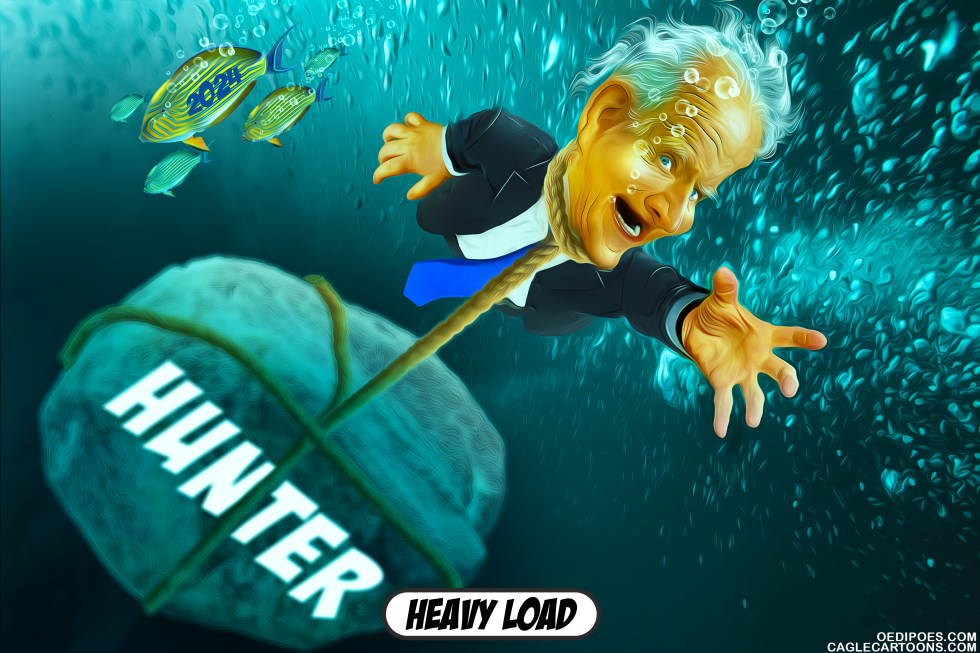 Justice Dept decides to investigate Hunter Biden