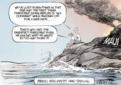 BIDEN APOLOGISTS by Rivers