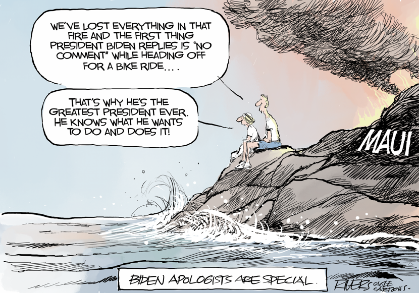Biden Apologists