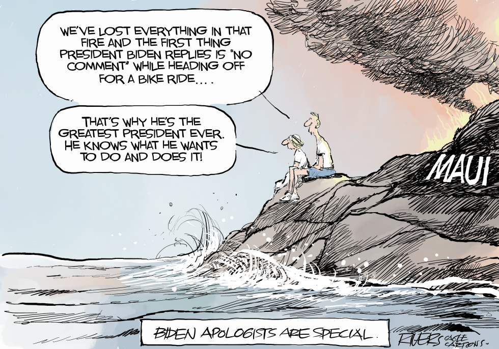 Biden Apologists