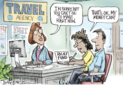 MAUI RELIEF by Joe Heller