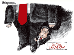 DESANTIS IN TRUMP'S SHADOW by Bill Day