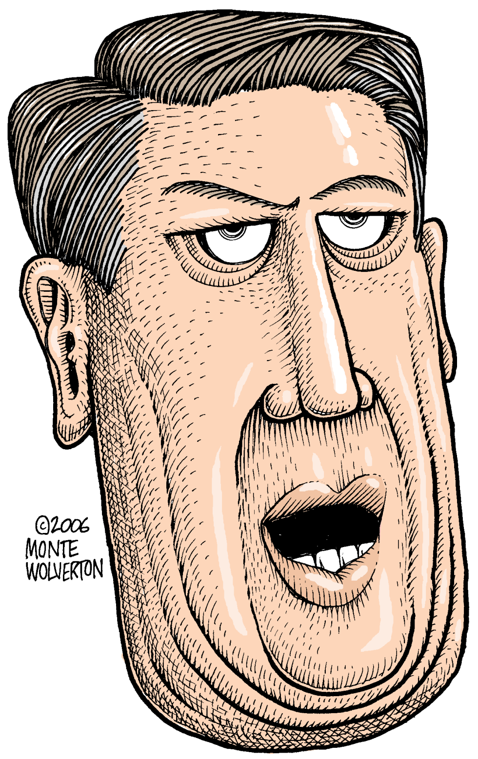 Al Gore / COLOR
