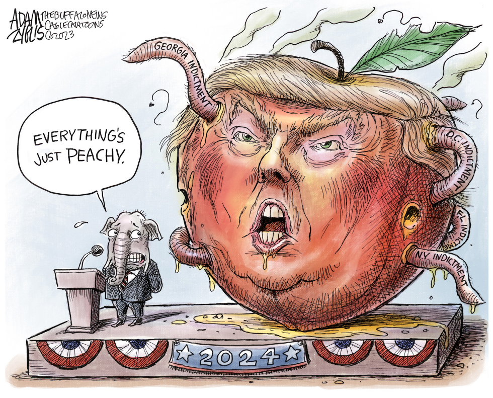 Georgia Indictment