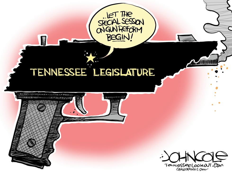 TENNESSEE Gun-reform special session