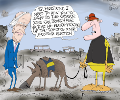 BIDEN CADAVER DOGS by Gary McCoy